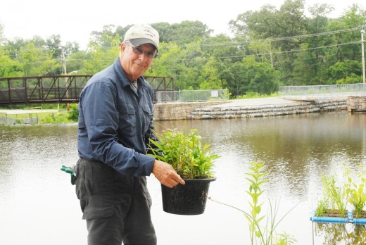 Floating Gardens