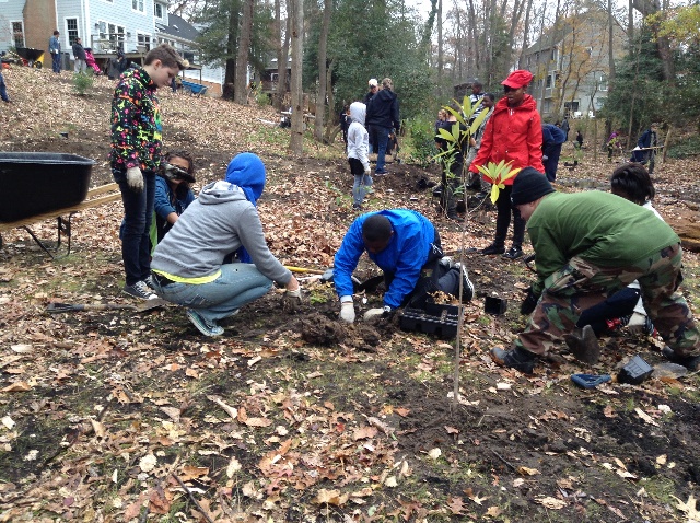 Stormwater Restoration