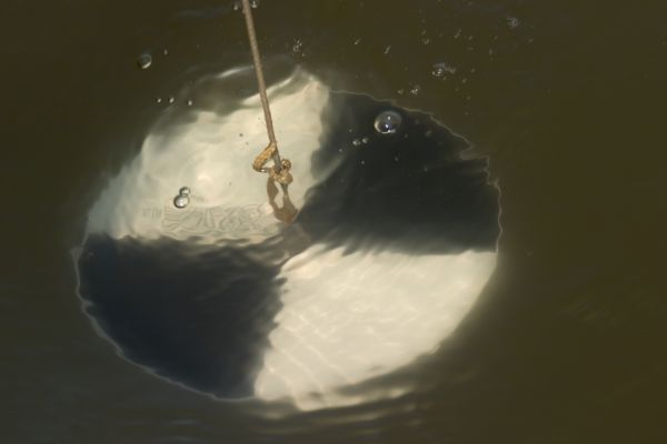 Water Quality Monitoring