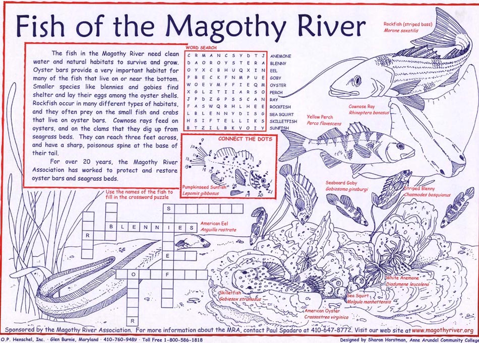 Educational Placemats
